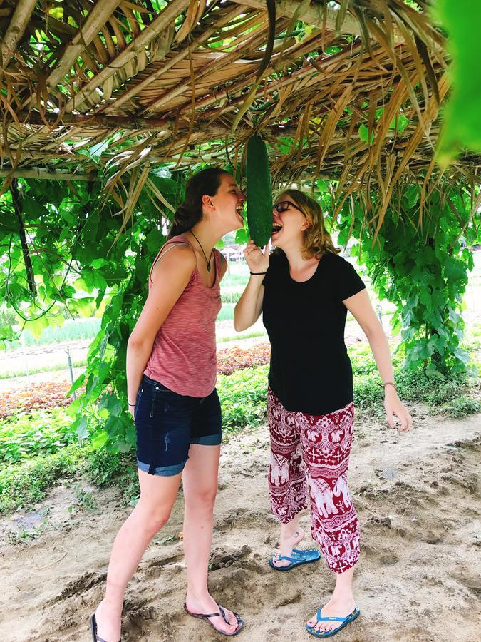 Nature Homestay Hoi An Zewnętrze zdjęcie